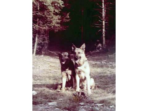 Foto 12